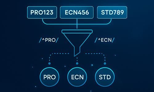 Streamlined Efficiency – Account Type Group Mapping with Regular Expressions by FYNXT